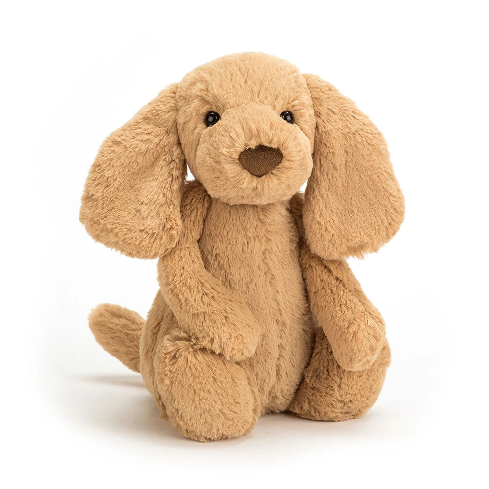 Jellycat Bashful Toffee Puppy 23cm - Retired