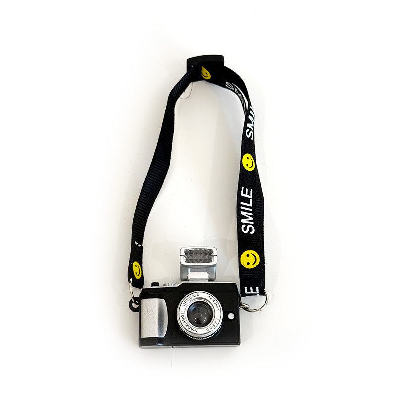 Camera with built-in battery and flash