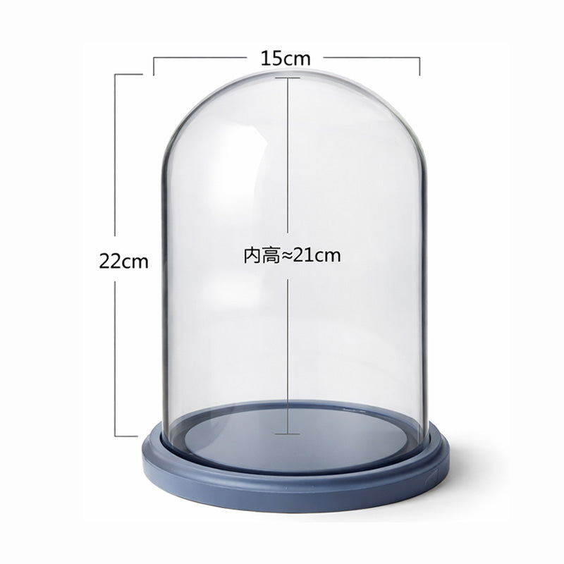 Transparent Glass Display Dome Case
