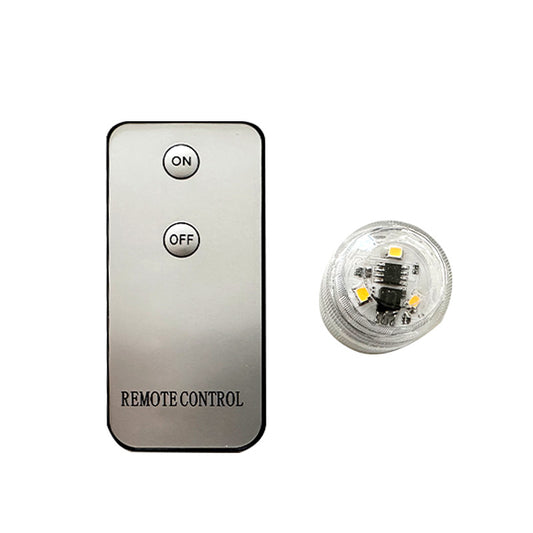 Remote-controlled LED light and Remote control